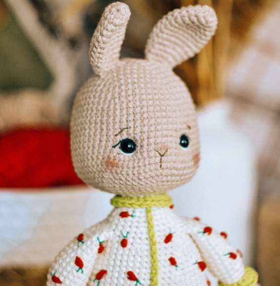 π Carrot Dreams Bunny